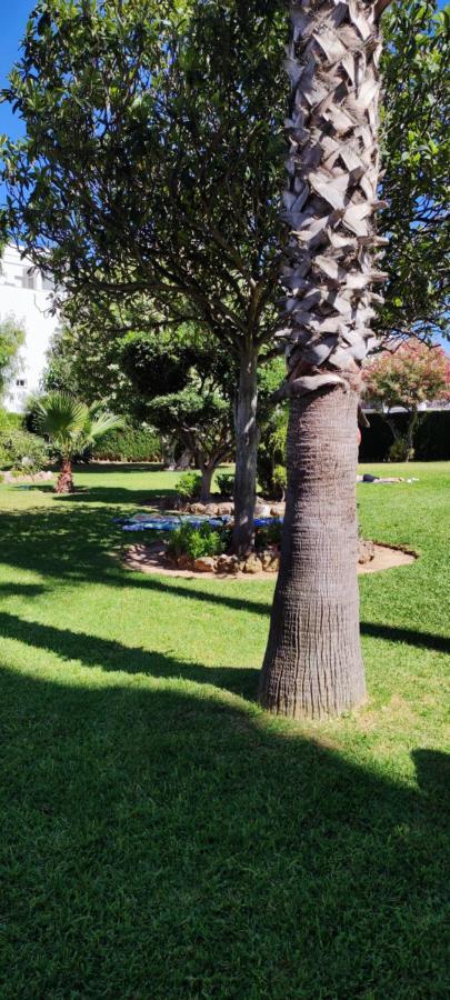 Apartament Delta Del Sur Benalmádena Zewnętrze zdjęcie